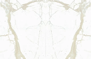 WHITE CALACATTA BOOK-MATCH silky