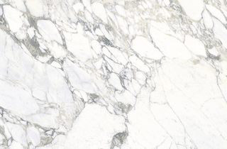 ARABESCATO STATUARIO shiny