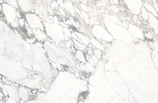 ARABESCATO STATUARIO shiny
