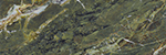 VERDE FANTASTICO