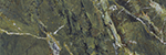 MARMI MAXFINE VERDE PERSIA