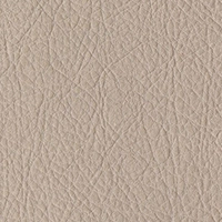 SYNTHETIC LEATHER 9