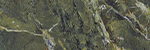 Verde Karzai 