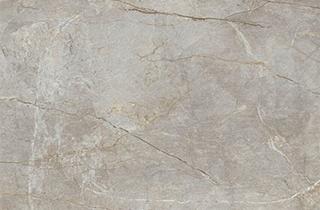 SILVER ROOT natural